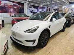 تسلا موديل Y